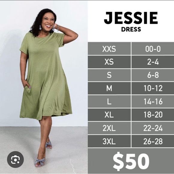 LulaRoe Jessie swing dress - Picture 3 of 3